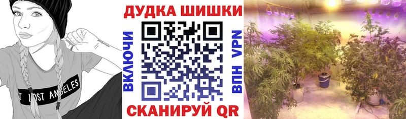 Хочу наркоту Тулун Галлюциногенные грибы  НБОМе  Гашиш  Меф мяу мяу  Каннабис  Альфа ПВП 