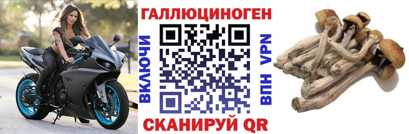 где можно купить   shop наркотические препараты  Псилоцибиновые грибы мухоморы  Тулун 