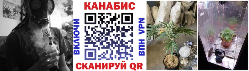 Бошки марихуана THC 21%  где купить   Тулун 
